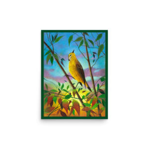 Highland yellowhammer bird sitting on branch, look up